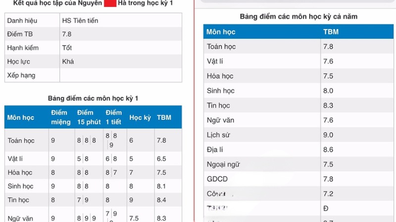 VnEdu – Học bạ điện tử tiện lợi cho mọi cấp học 5 Xem điểm và kết quả học tập dễ dàng